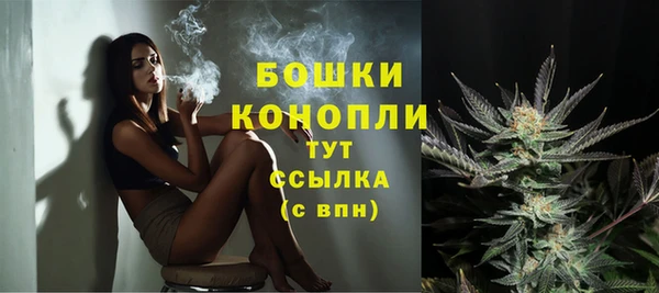 стафф Абаза