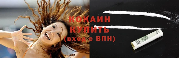 МДПВ Нея